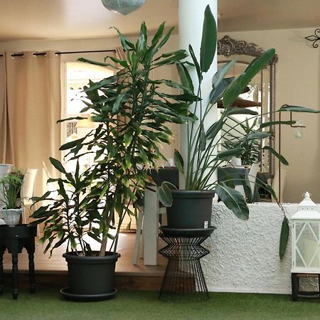 נרבון Chambre D'Hotes Villa Ambrosia Et Spa מראה חיצוני תמונה