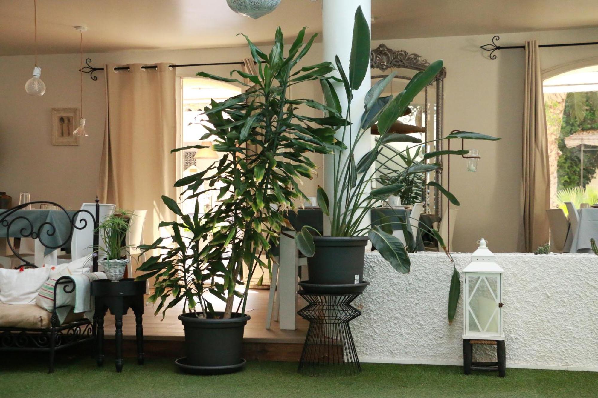 נרבון Chambre D'Hotes Villa Ambrosia Et Spa מראה חיצוני תמונה